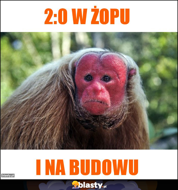 2:0 w żopu