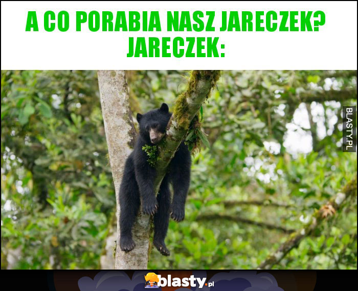 A co porabia nasz Jareczek? Jareczek: