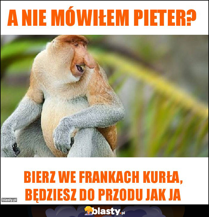 A nie mówiłem Pieter?