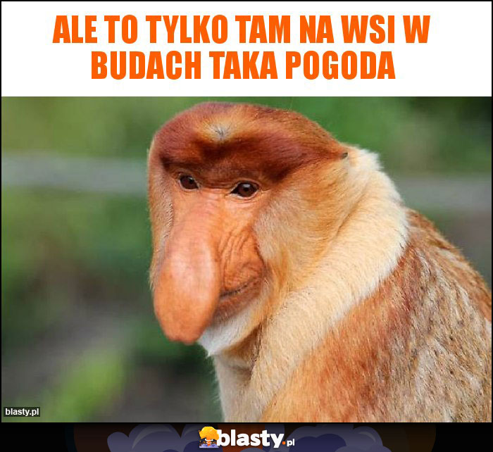 Ale to tylko tam na wsi w Budach taka pogoda