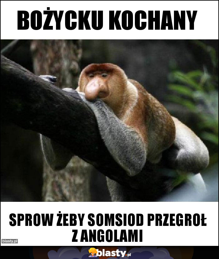 Bożycku kochany