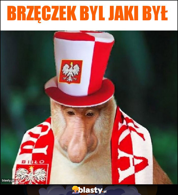 Brzęczek byl jaki był