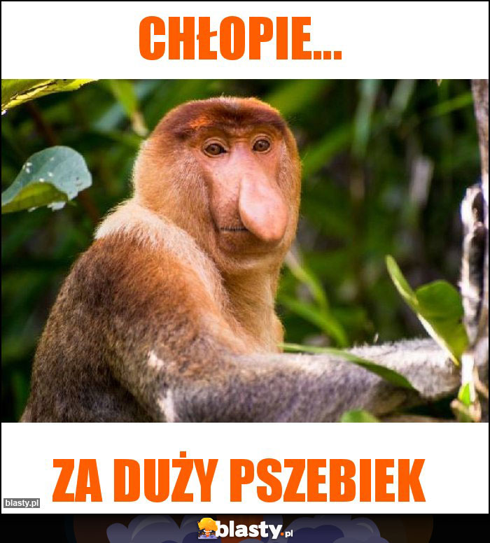 Chłopie...