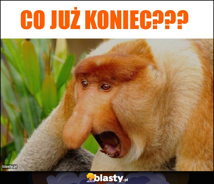 CO JUŻ KONIEC???