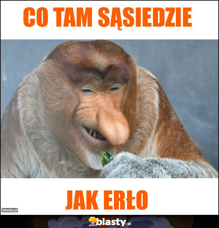 Co tam sąsiedzie