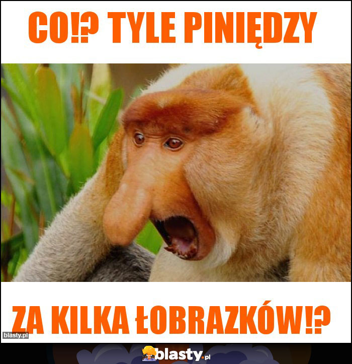 Co!? Tyle piniędzy