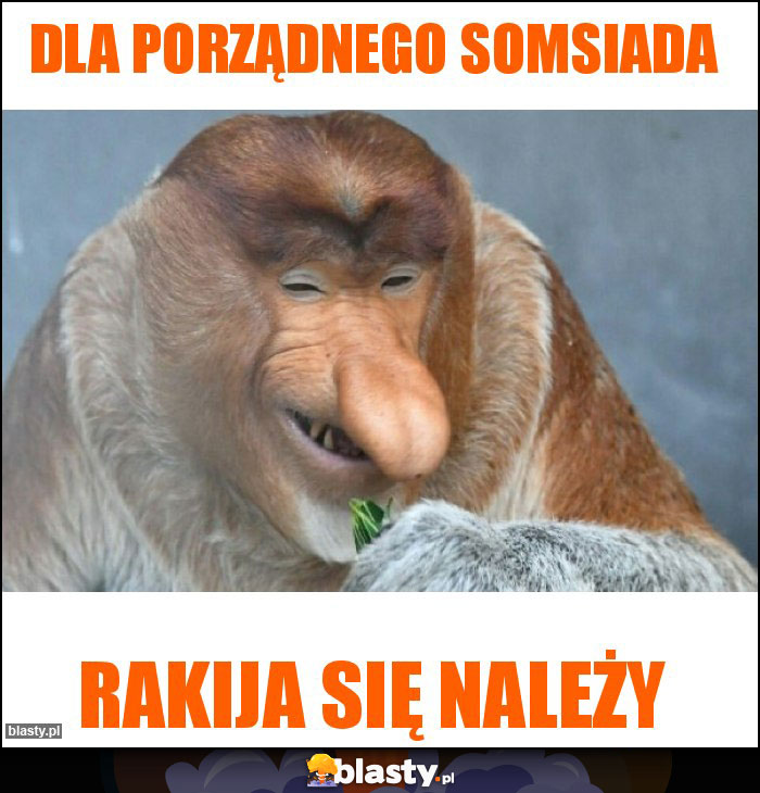 Dla porządnego somsiada