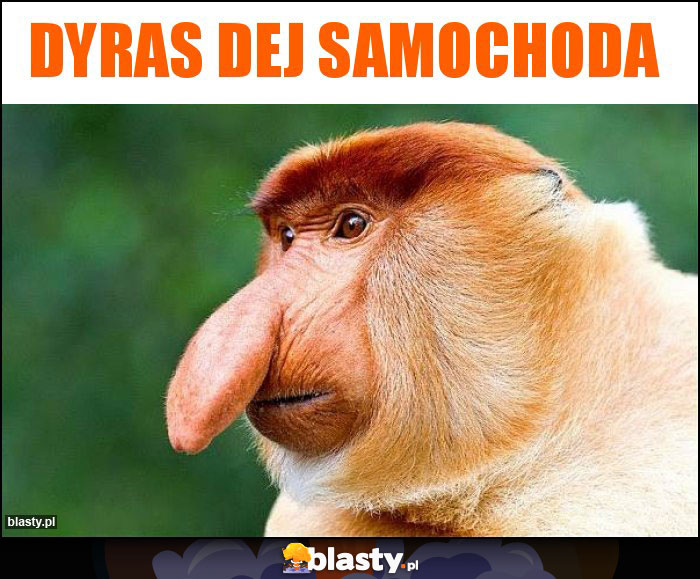 Dyras dej samochoda