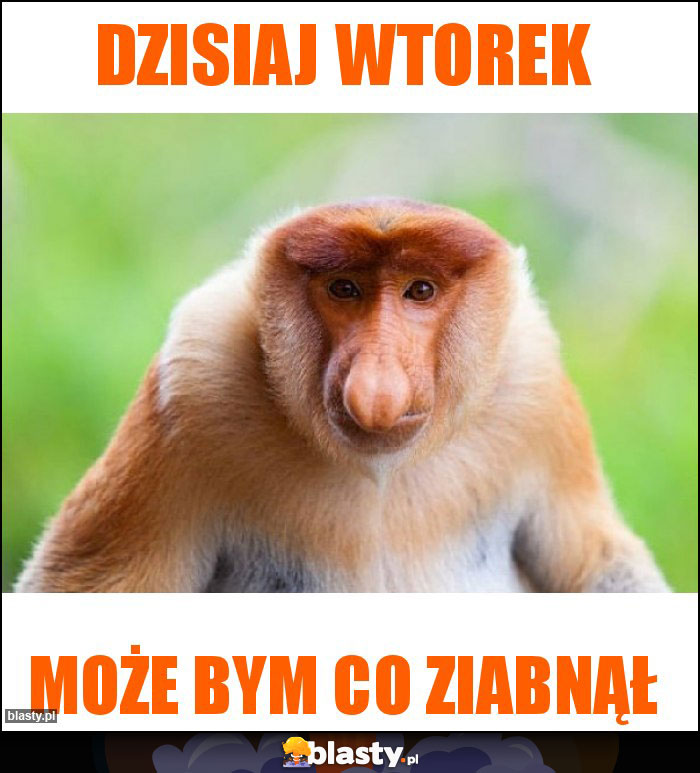 Dzisiaj wtorek