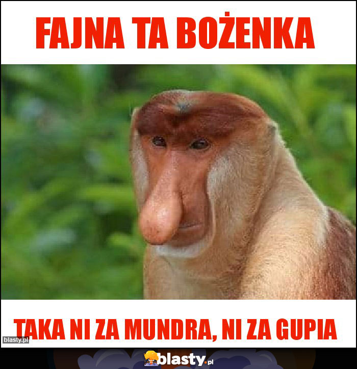 Fajna ta Bożenka