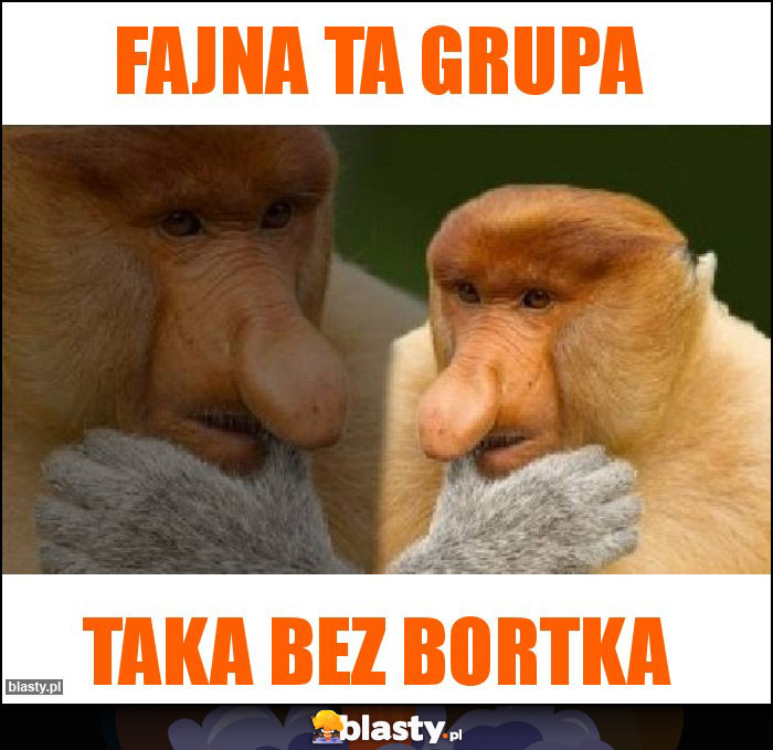 Fajna ta grupa