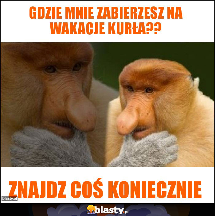 Gdzie mnie zabierzesz na wakacje kurła??