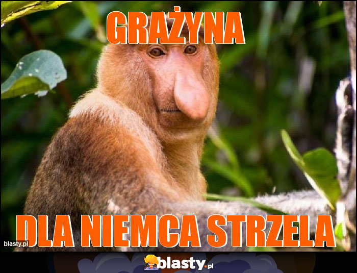 Grażyna