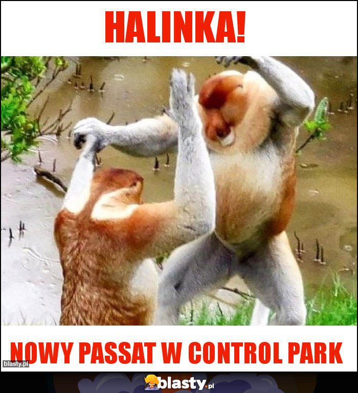 Halinka!