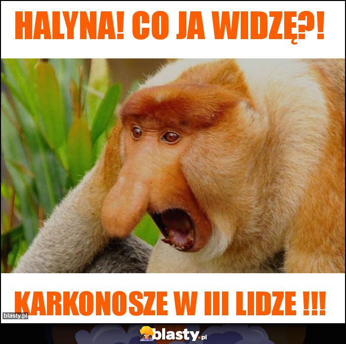 Halyna! Co ja widzę?!