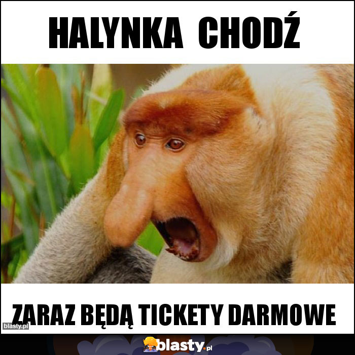 Halynka  chodź