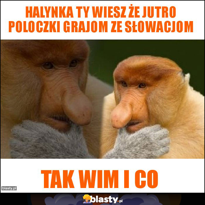 Halynka Ty wiesz że jutro Poloczki grajom ze Słowacjom