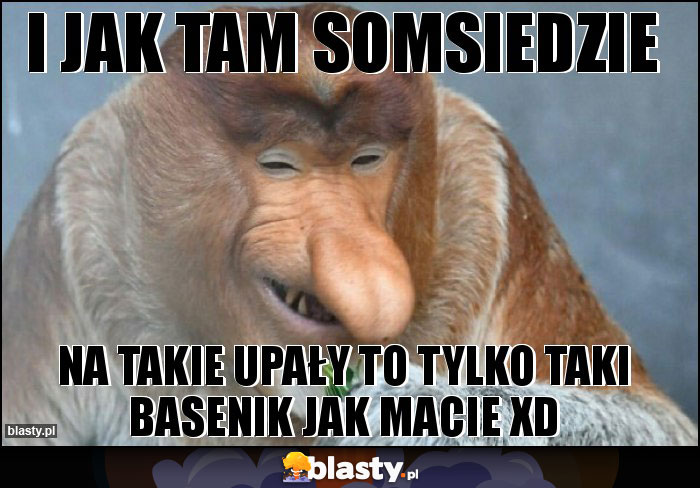 i jak tam somsiedzie