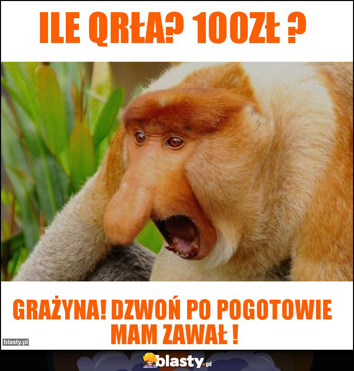 Ile qrła? 100zł ?