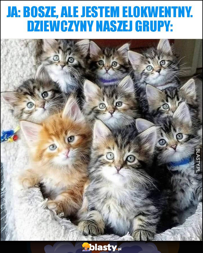 Ja: Bosze, ale jestem elokwentny. Dziewczyny naszej grupy: