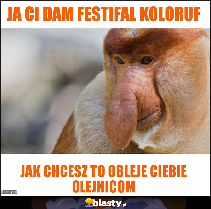 Ja ci dam festifal koloruf