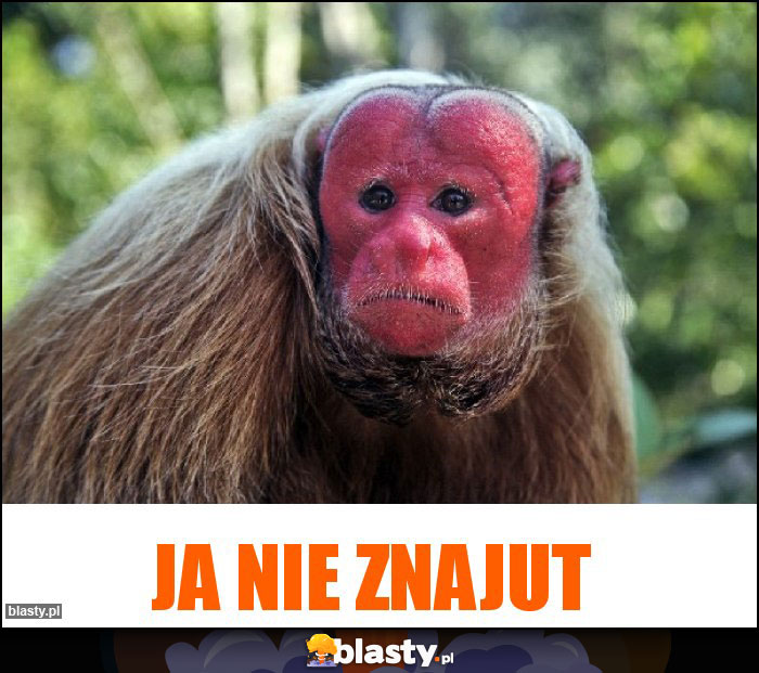 Ja nie znajut