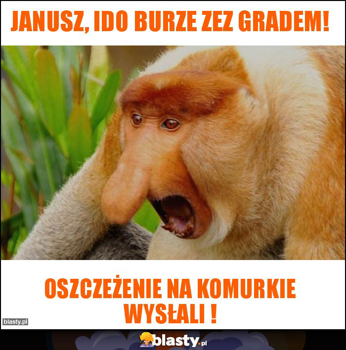 Janusz, ido burze zez gradem!