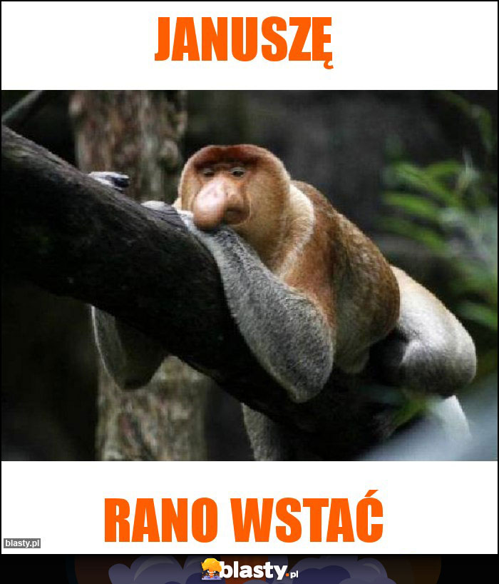 JaNuszę