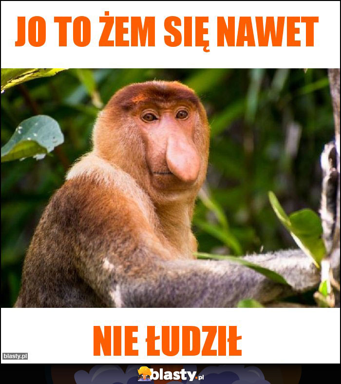 Jo to żem się nawet