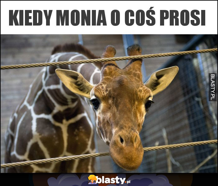 Kiedy Monia o coś prosi