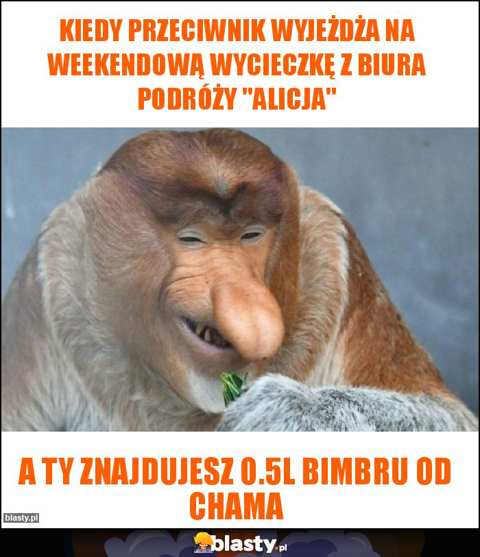 Kiedy przeciwnik wyjeżdża na weekendową wycieczkę z biura podróży 