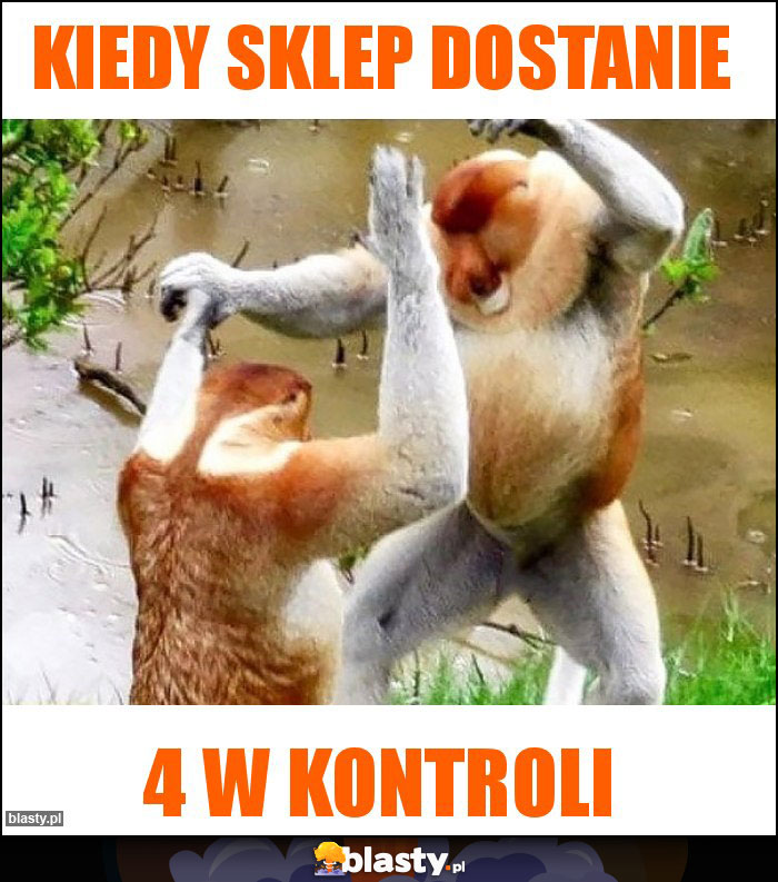 KIEDY SKLEP DOSTANIE