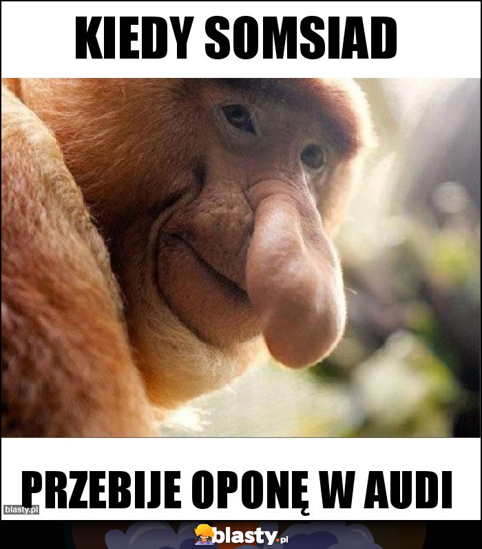 Kiedy somsiad