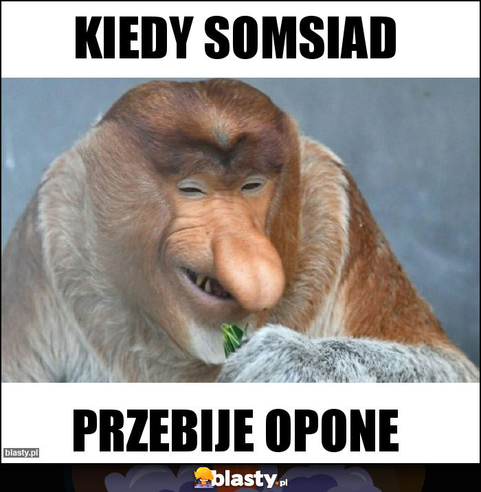 Kiedy somsiad