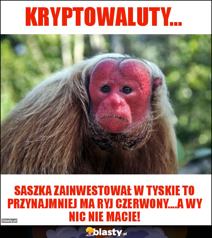 Kryptowaluty...