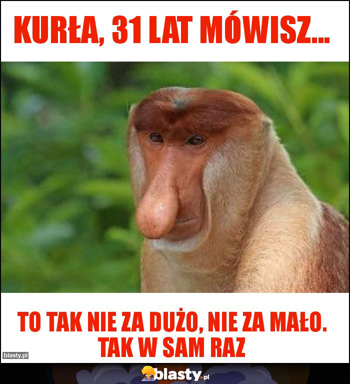 KURŁA, 31 lat mówisz...