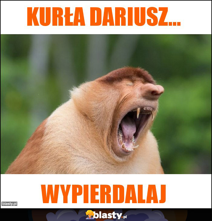 Kurła Dariusz...