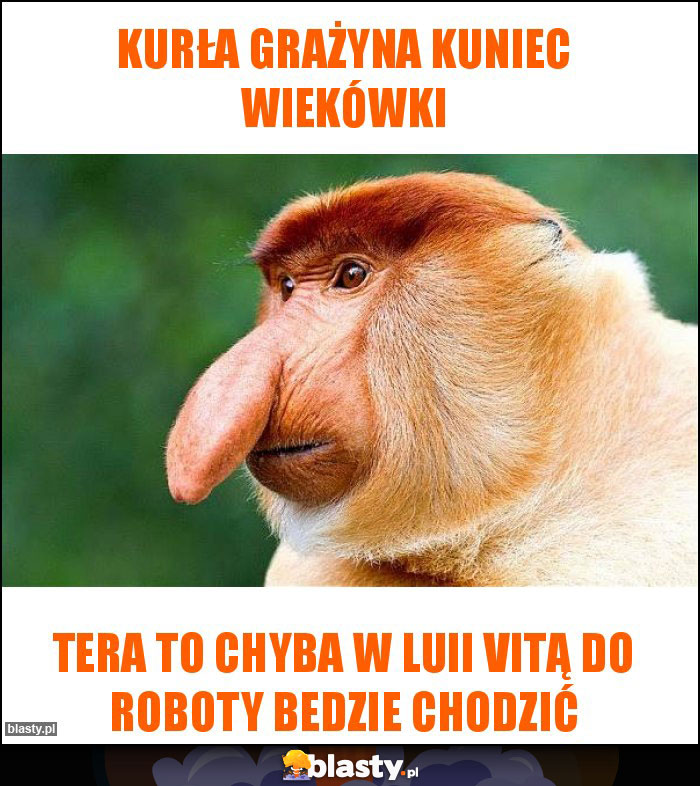 KURŁA GRAŻYNA KUNIEC WIEKÓWKI