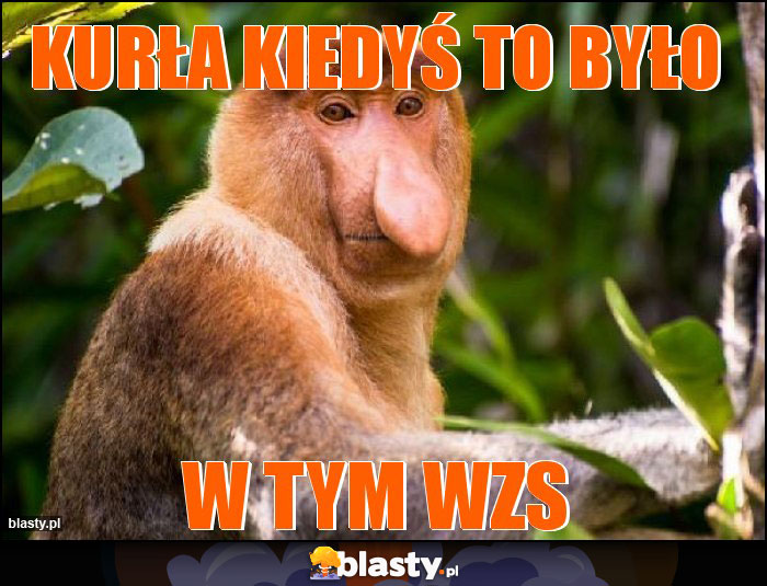 KURŁA KIEDYŚ TO BYŁO