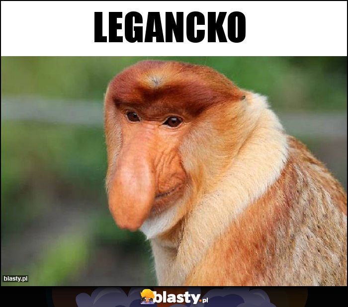 LEGANCKO