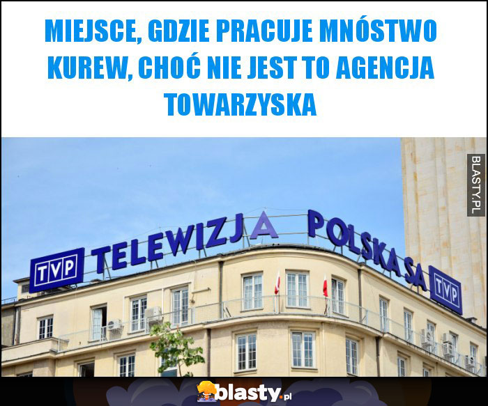 Miejsce, gdzie pracuje mnóstwo kurew, choć nie jest to agencja towarzyska