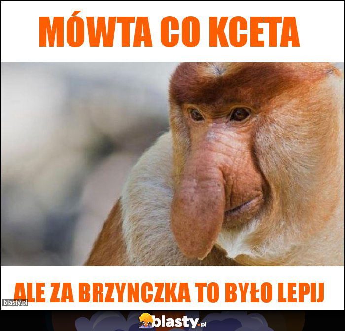 Mówta co kceta