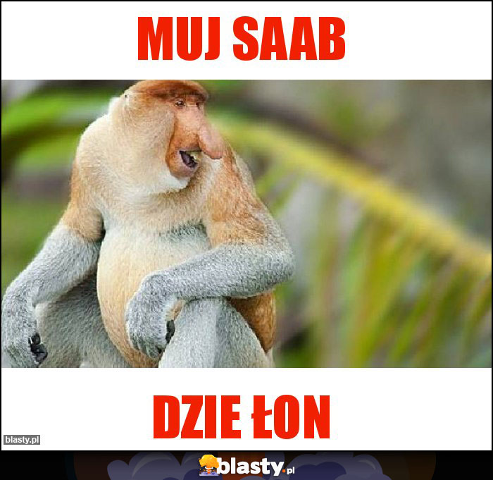 Muj Saab