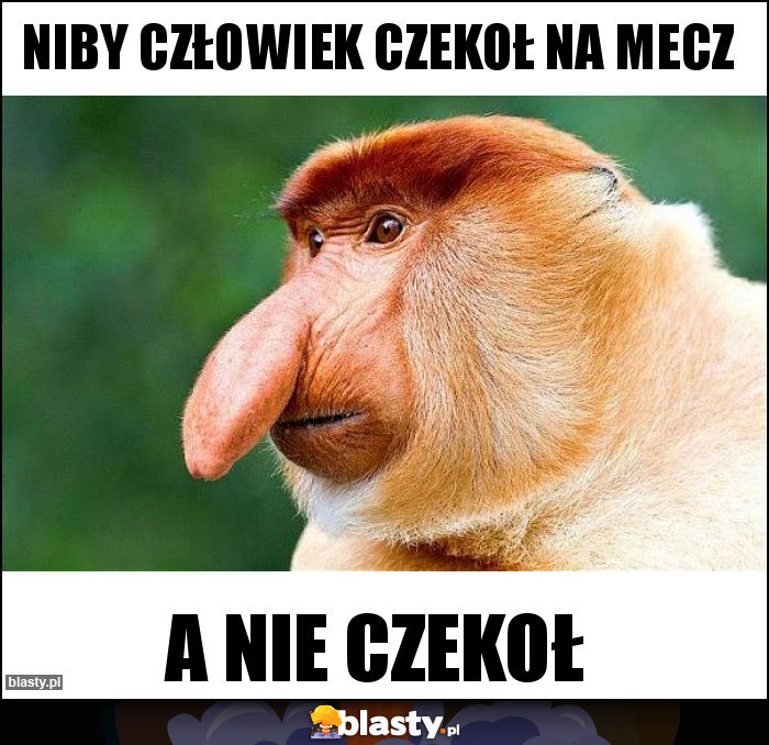 Niby człowiek czekoł na mecz