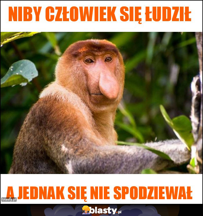 Niby człowiek się łudził