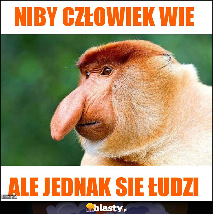 Niby człowiek wie