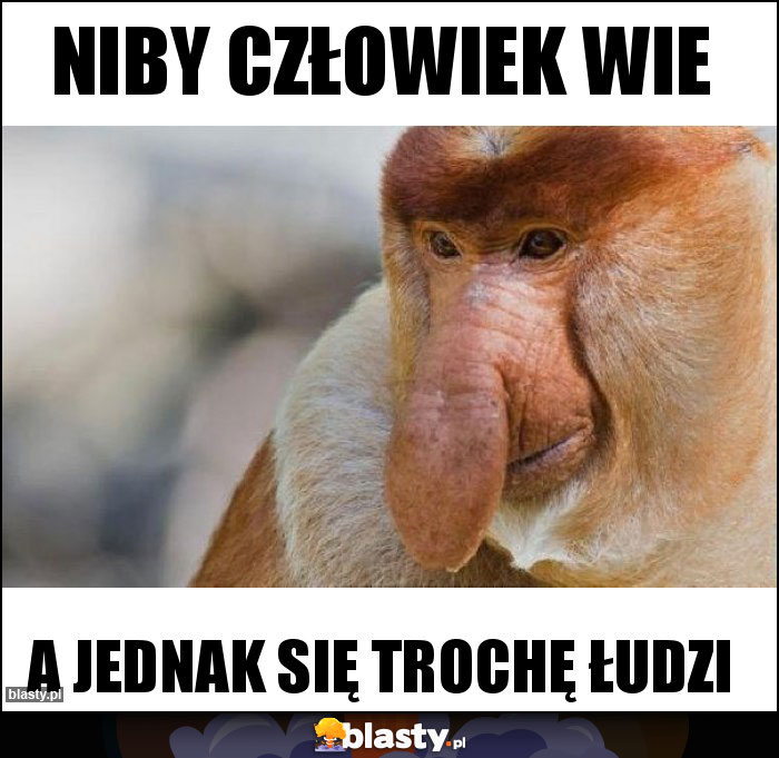 Niby człowiek wie