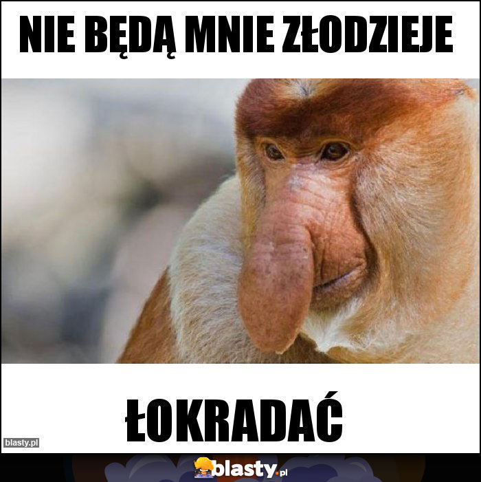 Nie będą mnie złodzieje