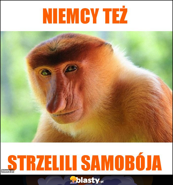 Niemcy też