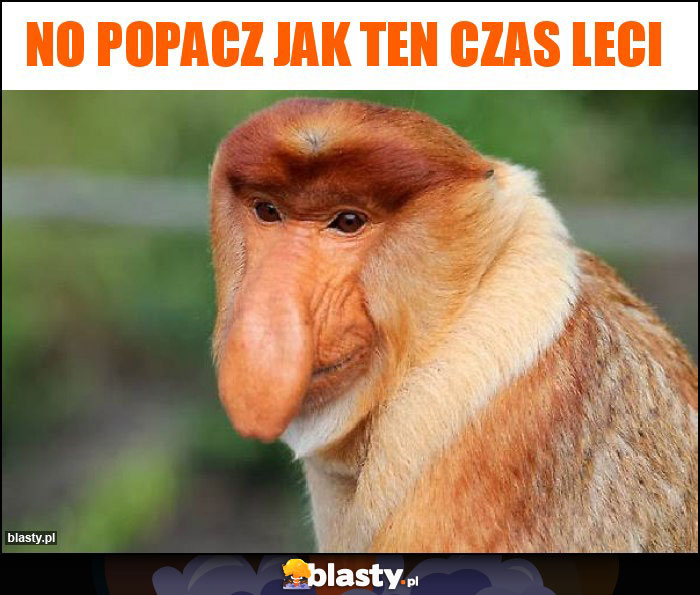 No popacz jak ten czas leci